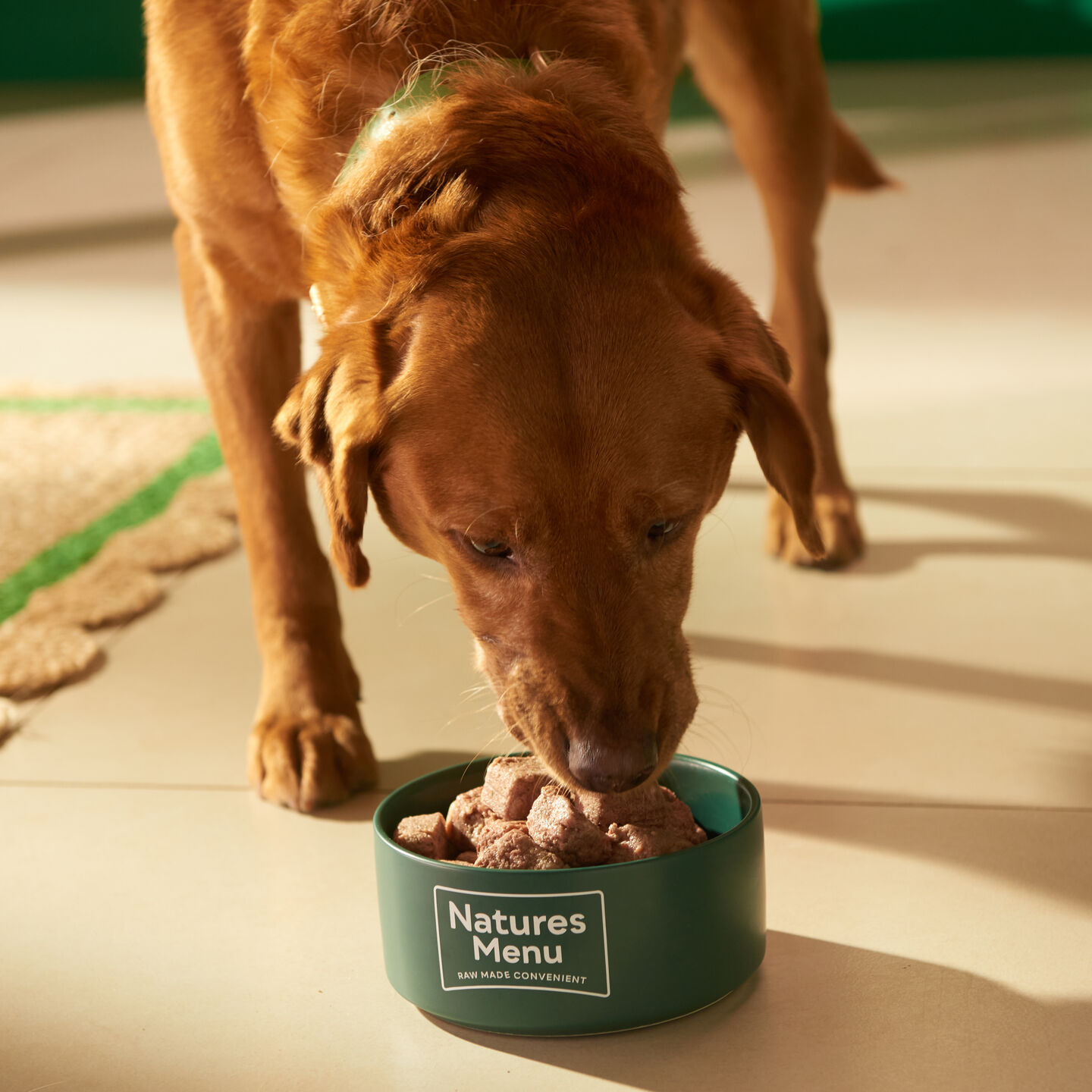 <b>WHAT IS A RAW FOOD DIET FOR DOGS?</b><br><br>The lowdown on what makes up raw dog food, and why it can be a perfect diet for your dog...</br></br>